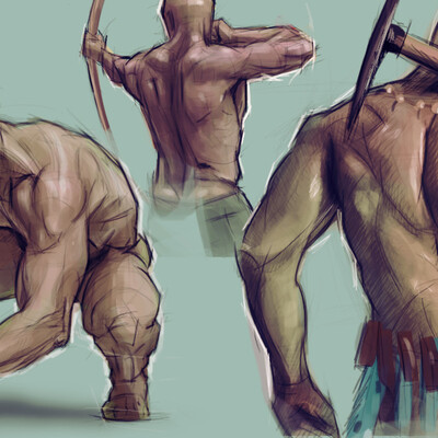 Anatomical4