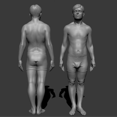 male study anatomy 