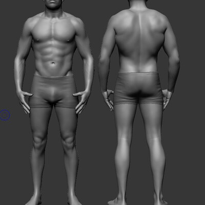 male study anatomy 02