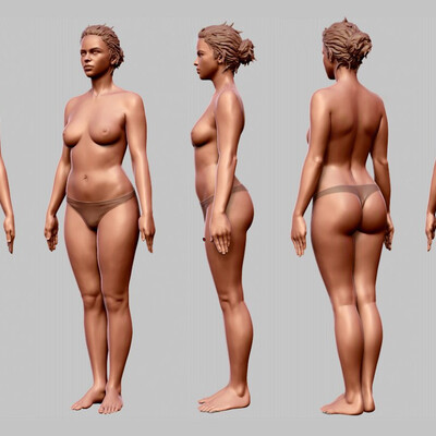 female study anatomy