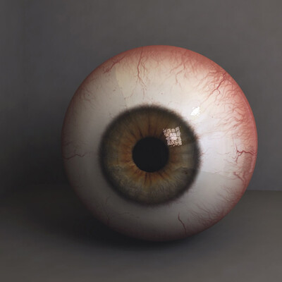 eye