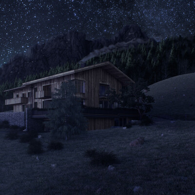 The Wiesenhof house.The night.