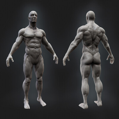 anatomy