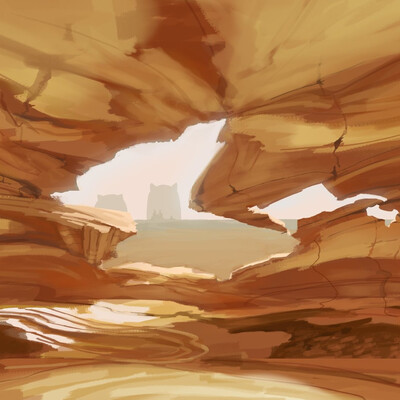enviroment study