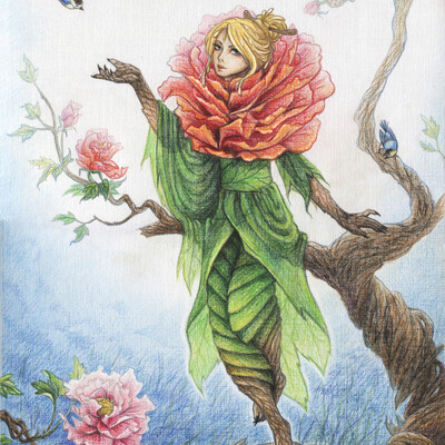 Peony