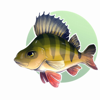 Perch