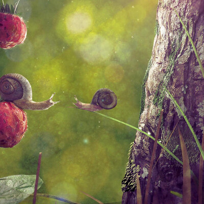 wild strawberries