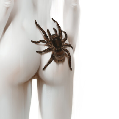 Arachnophobia