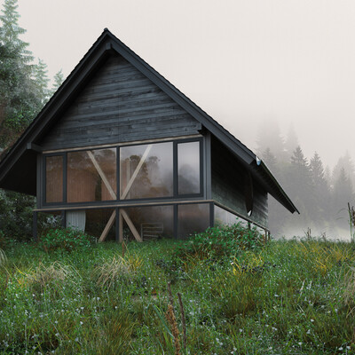 Swiss house. Part 2