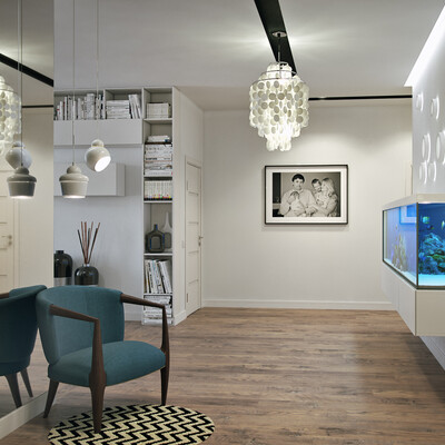 Visualization design solutions of apartment for young family