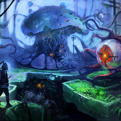 "The anomalous zone"