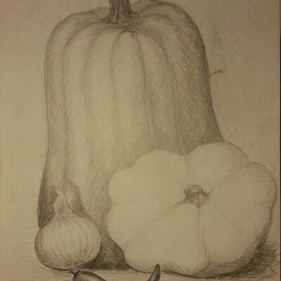 sketch