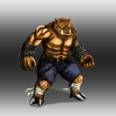 Boar