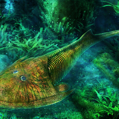 Cephalaspis