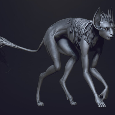 cat?