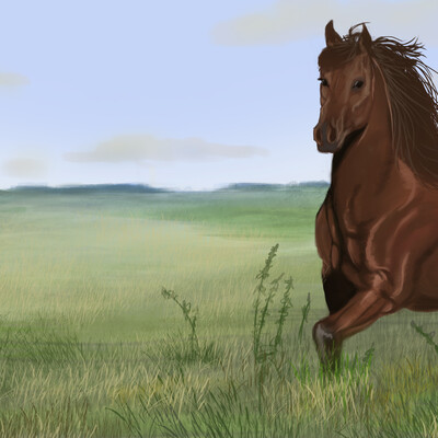horse