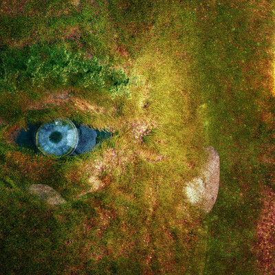Nature sight