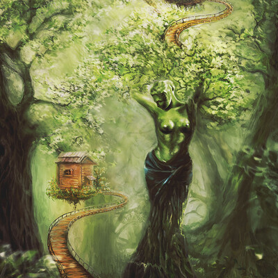 Mysterious Forest