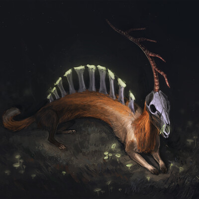 Deer