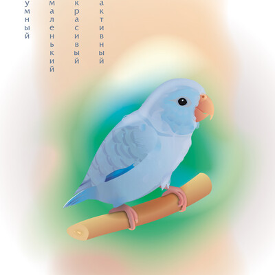 Parrotlet Umka