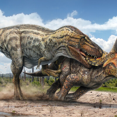 T.rex vs Triceratops