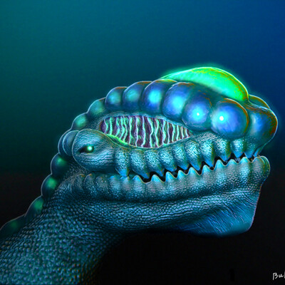 From the depths
