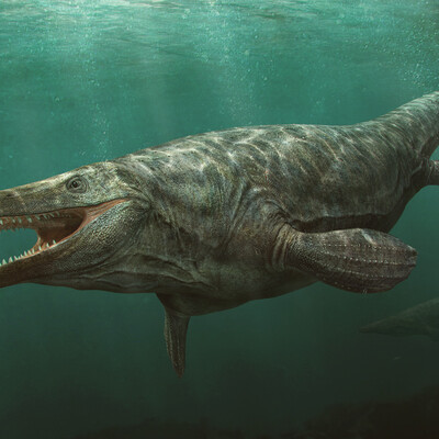 Tylosaurus pembinensis