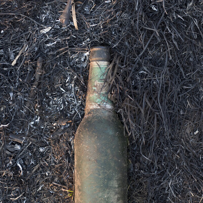 Warbottle
