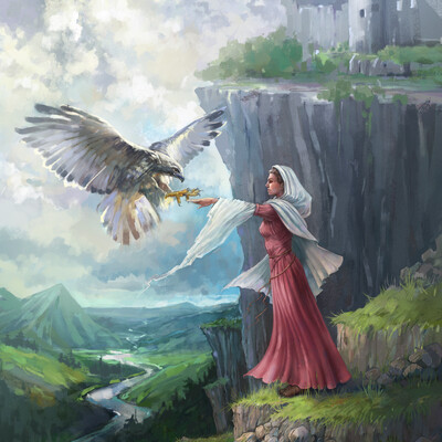 hawk