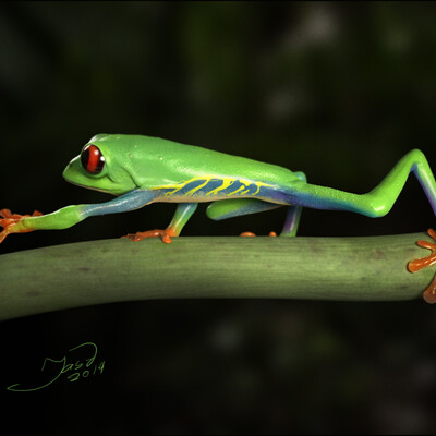 frog