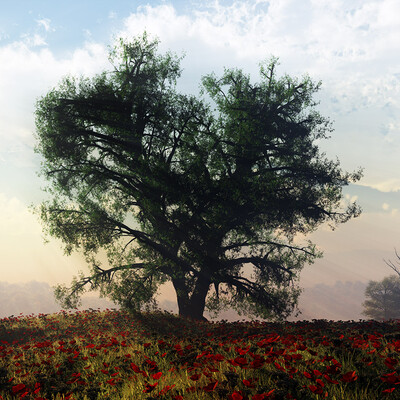 Warm mood...