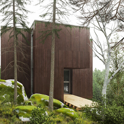 House in the forest