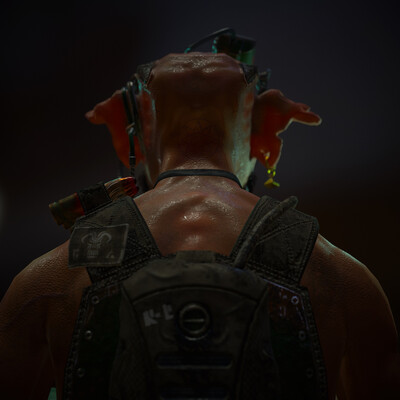 Aggressor