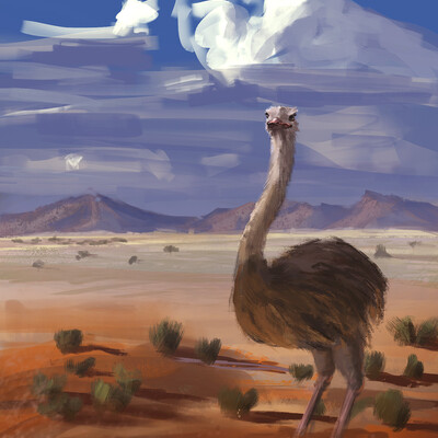 Ostrich in savanna