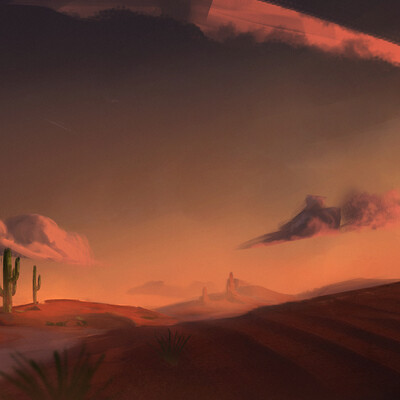 Cactus in the desert