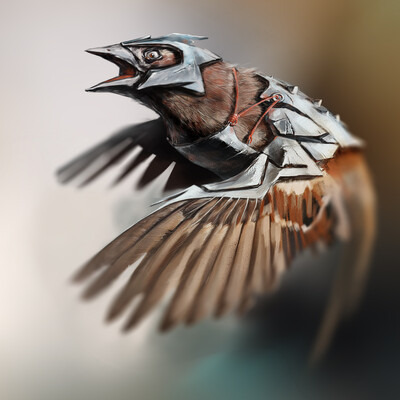 Sparrow