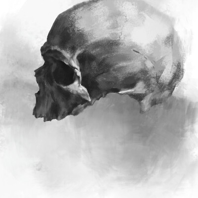 Skull. Practice