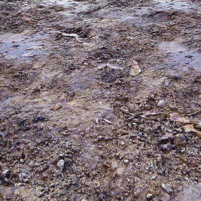 Ground