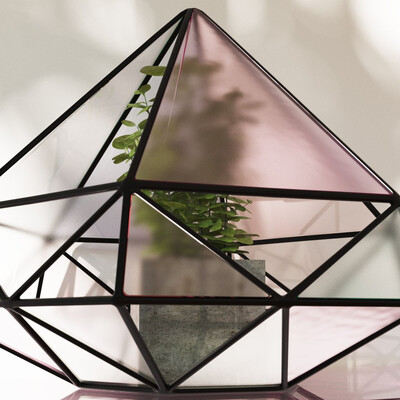 Handmade Glass Terrarium