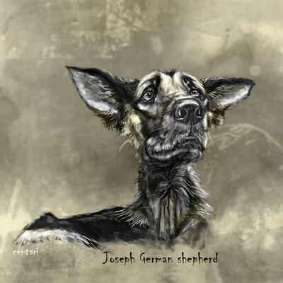 Joseph