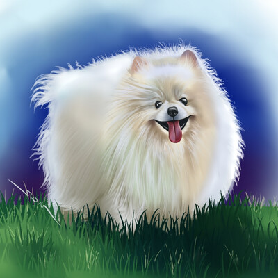 Spitz