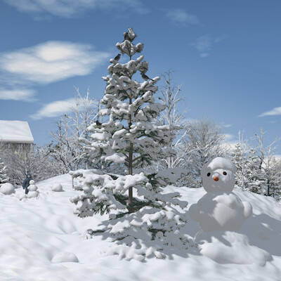 Winter morning