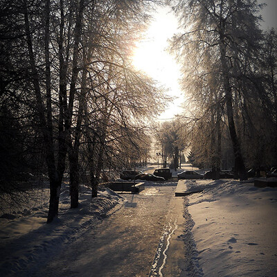 The Park in winter.