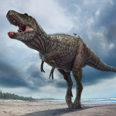 Gorgosaurus