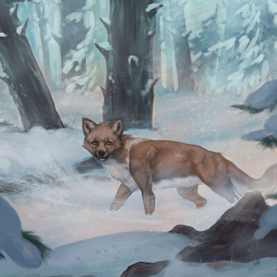 Snowy forest