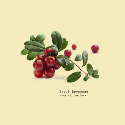 Lingonberry