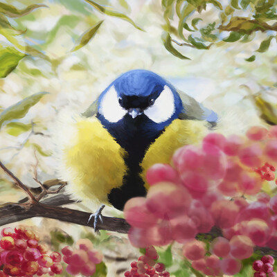 Tit in the summer environment