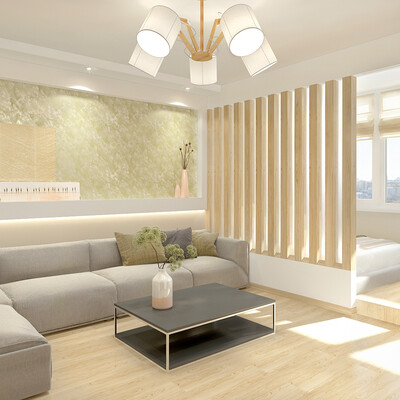 Bedroom & Living Room