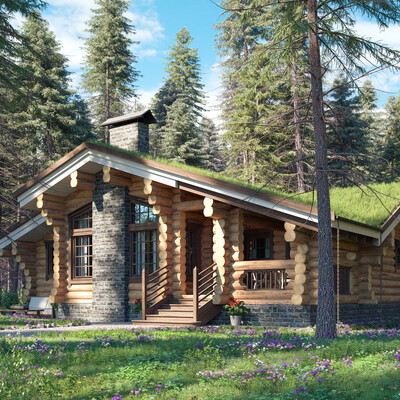 Shed in a woods