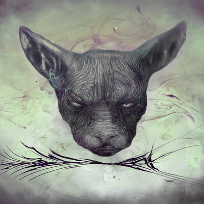 Angry Cat